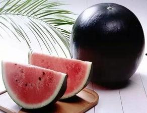 每日大赛官网吃瓜黑料